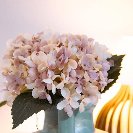 Pouso Primavera Tiradentes Ngoại thất bức ảnh