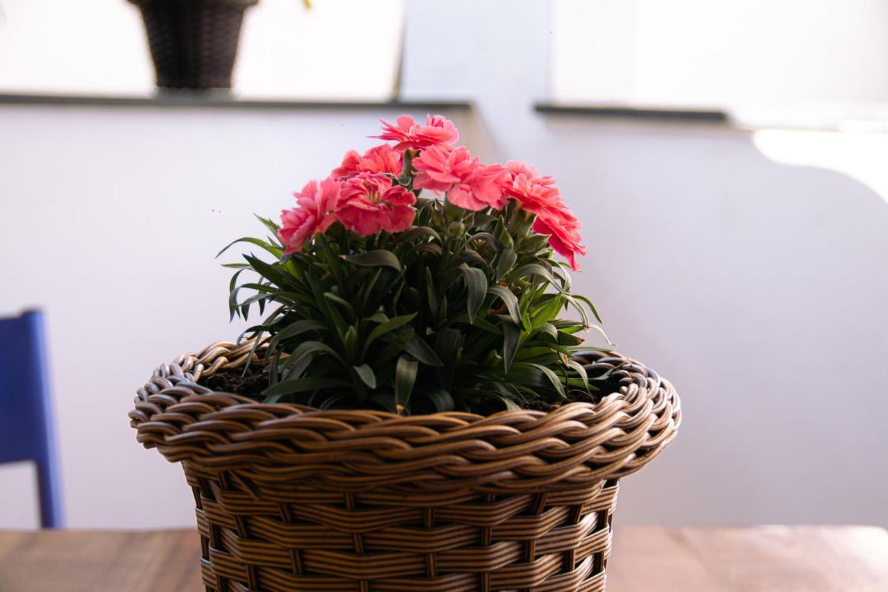 Pouso Primavera Tiradentes Ngoại thất bức ảnh